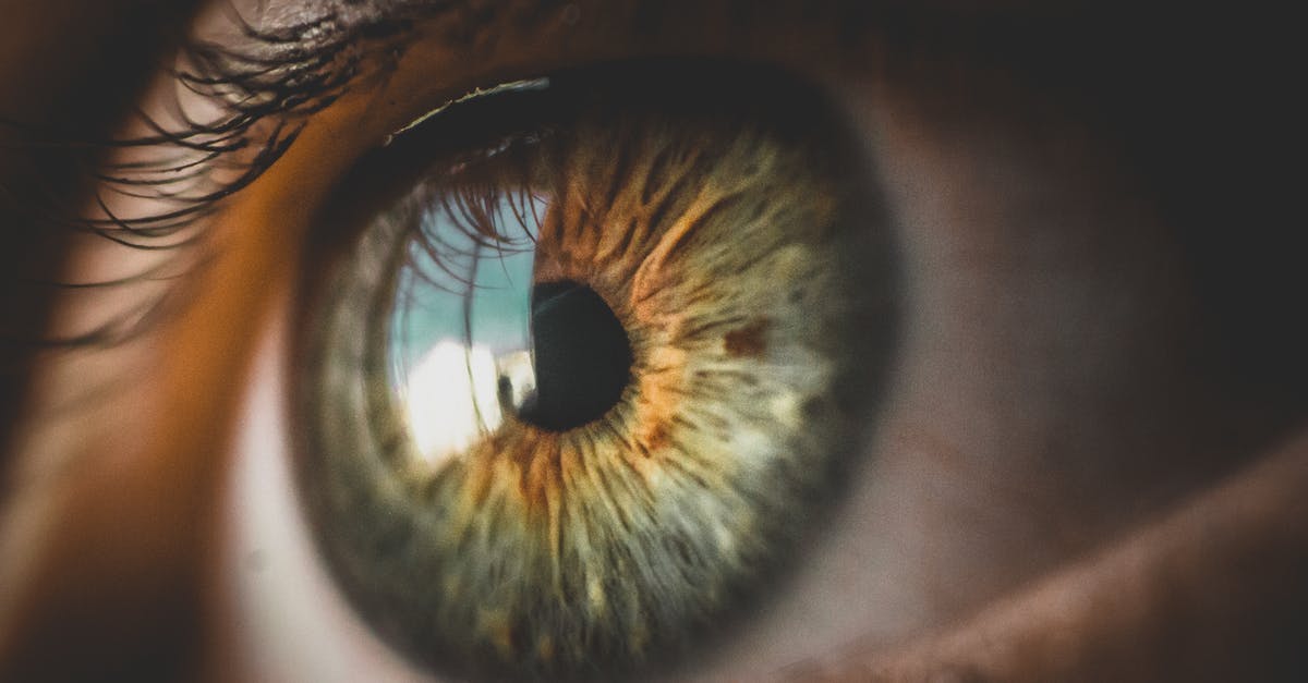 Is Form 6059B (blue customs form) required for 1-Stop clearance at O'Hare? - Human green eye reflecting building and blue sky Is Form 6059B (blue customs form) required for 1-Stop clearance at O'Hare? - Human green eye reflecting building and blue sky