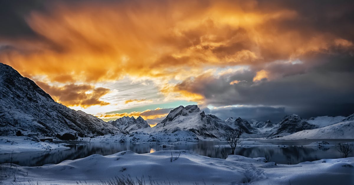 Is frozen chicken widely available in and around Oslo, Norway? Is the price higher than other capitals like Stockholm? - Snow Capped Mountain Is frozen chicken widely available in and around Oslo, Norway? Is the price higher than other capitals like Stockholm? - Snow Capped Mountain