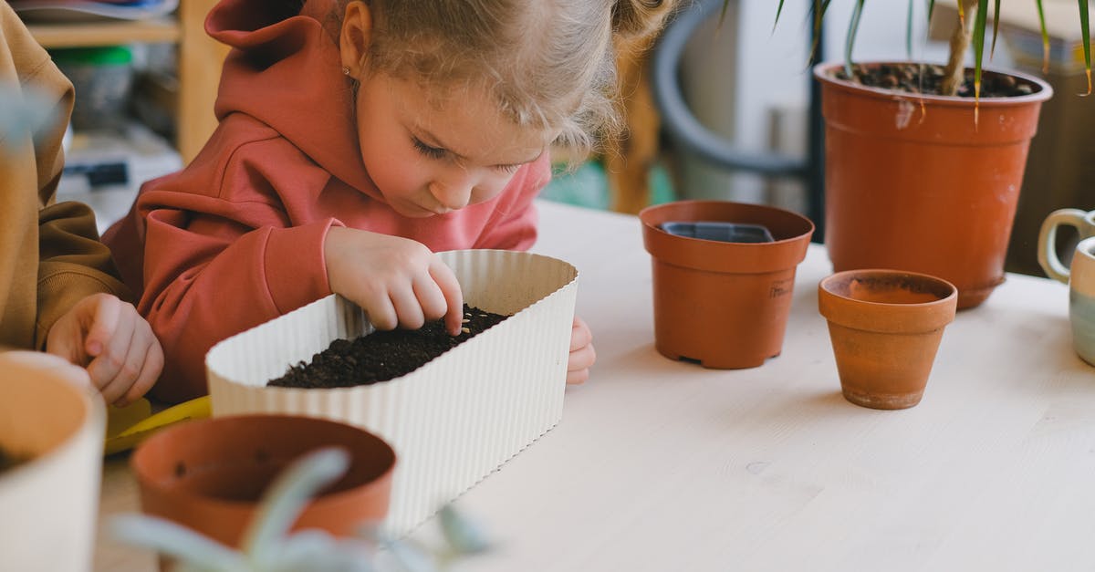 Is it allowed to carry seeds on an intercontinental flight? - Free stock photo of breakfast, child, children Is it allowed to carry seeds on an intercontinental flight? - Free stock photo of breakfast, child, children