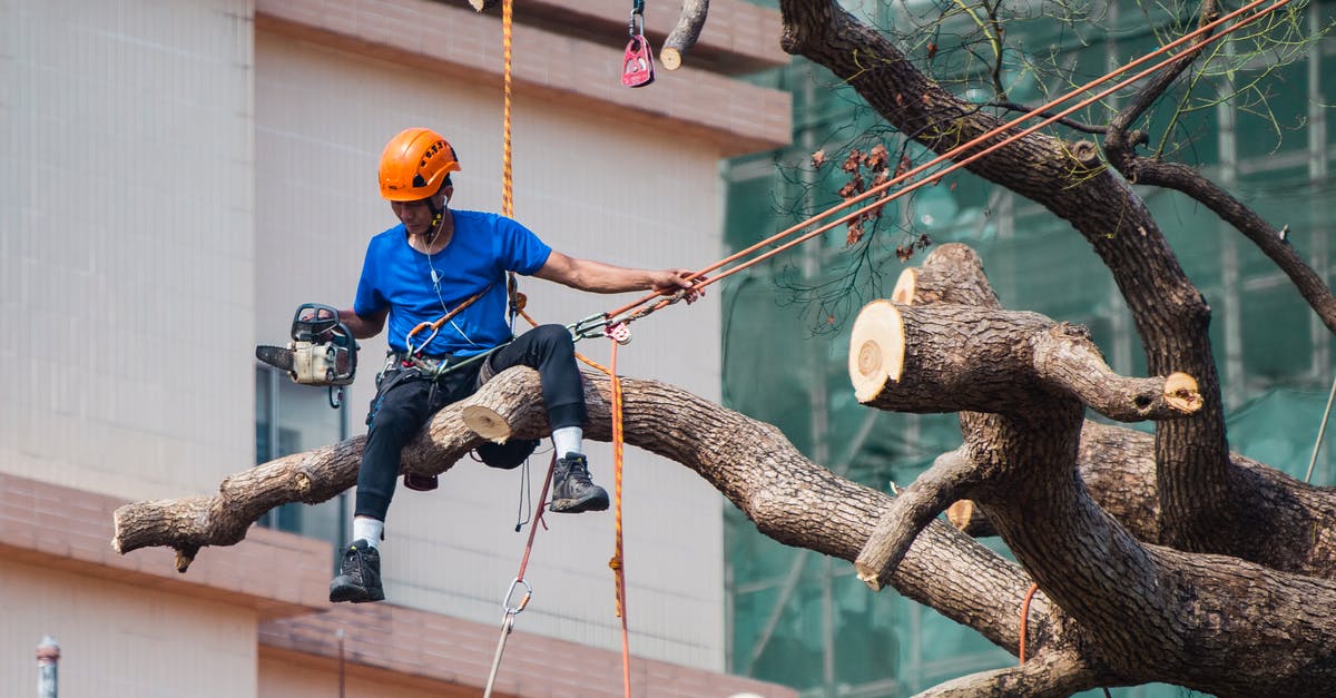 Is it allowed to wear a bulletproof vest in Hong Kong? [closed] - Man in Blue Shirt Siting on Tree Branch Wearing Safety Harness Holding Ropes on Left Hand and Chainsaw in Right Hand