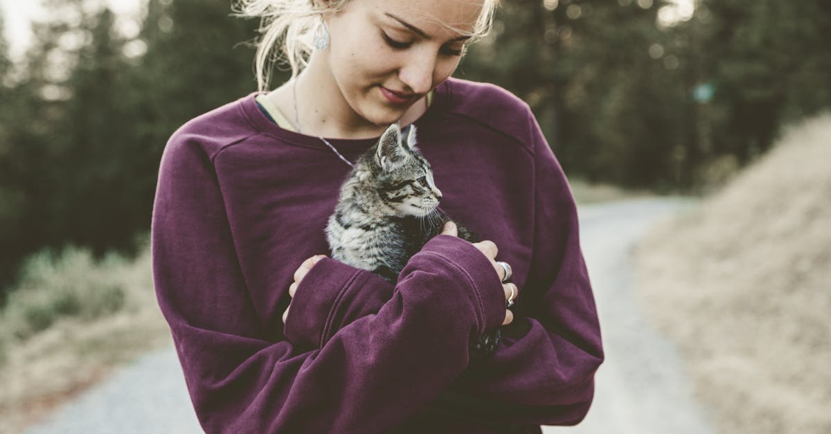 Is it cold enough in England/London to have to wear a woolen/winter hat? [closed] - Selective Focus Photography of Woman Wearing Purple Sweater Holding Silver Tabby Cat