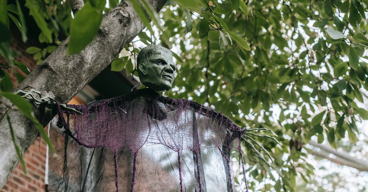 Is it illegal to purchase fake designer handbags from street sellers in Spain? - Low angle of green tree with creepy skeleton figure in Frankenstein mask hanging on branches near house in Halloween Is it illegal to purchase fake designer handbags from street sellers in Spain? - Low angle of green tree with creepy skeleton figure in Frankenstein mask hanging on branches near house in Halloween