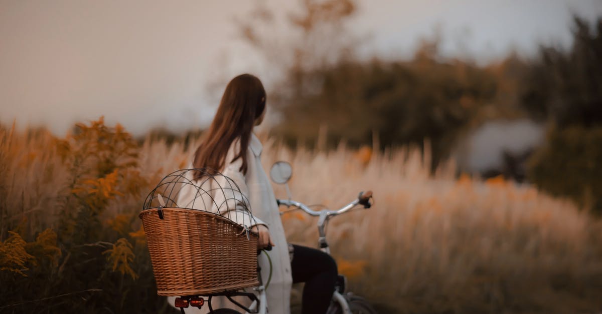 Is it possible to bring a bicycle on a plane? - Free stock photo of adult, bike, child Is it possible to bring a bicycle on a plane? - Free stock photo of adult, bike, child