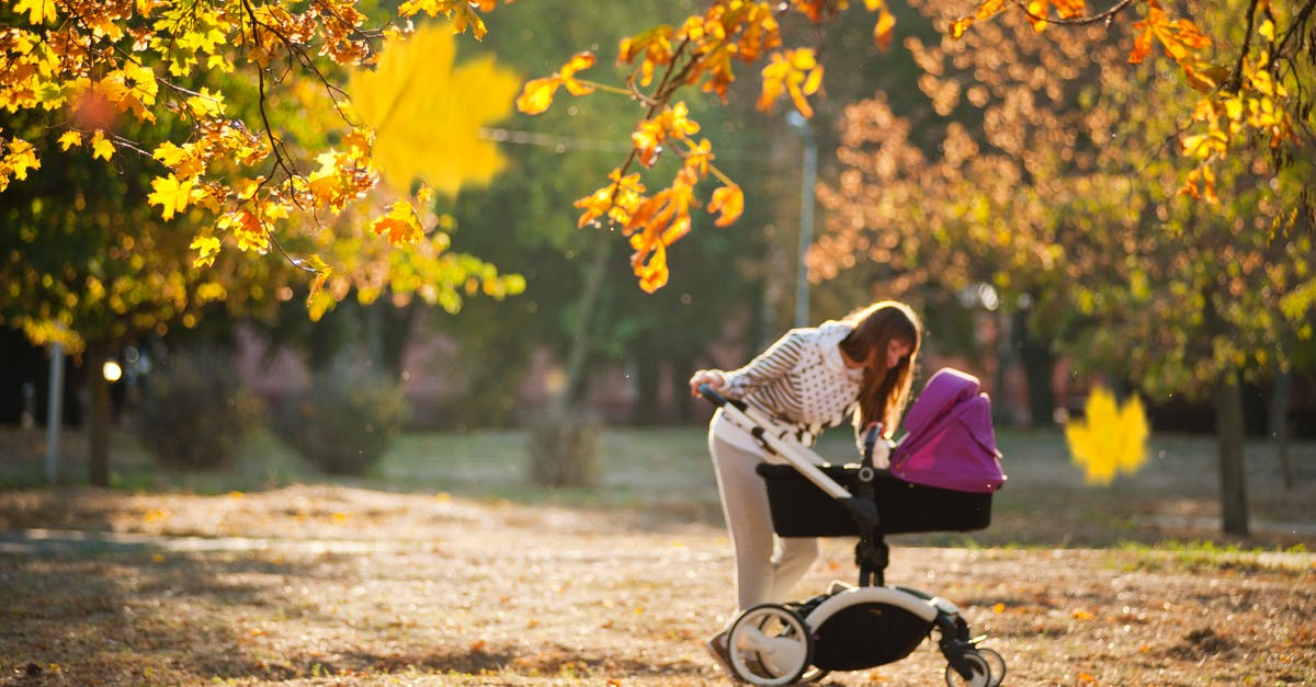 Is it possible to check-in a double stroller on a flight? - Woman In Grey Pants Holding Black And Purple Stroller Is it possible to check-in a double stroller on a flight? - Woman In Grey Pants Holding Black And Purple Stroller