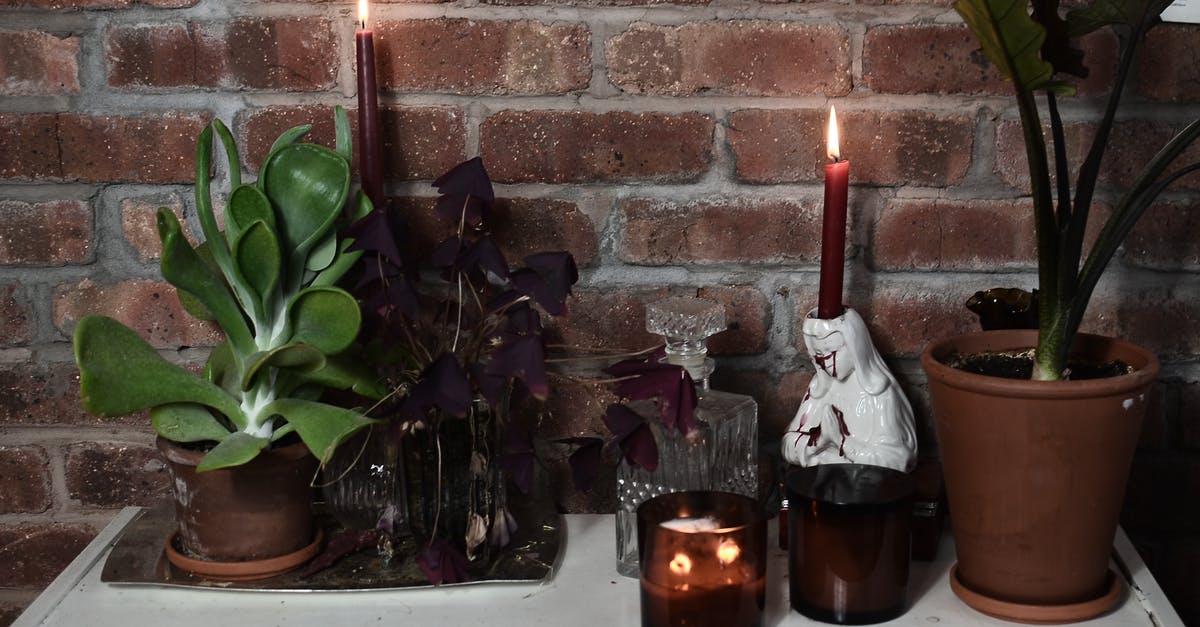 Is it possible to consolidate Virgin (Velocity) with AirNZ Airpoints? - Burning candles near potted plants on table in house Is it possible to consolidate Virgin (Velocity) with AirNZ Airpoints? - Burning candles near potted plants on table in house