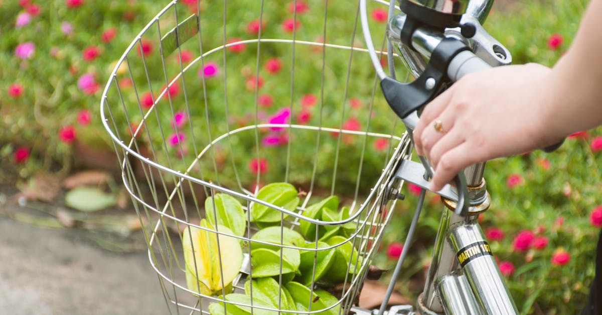 Is it possible to cycle from Manhattan to Williamsburg, Brooklyn on cycle paths only? [closed] - From above of anonymous woman riding bicycle on road through green meadow with flowers and transporting in basket green Carambola on summer day