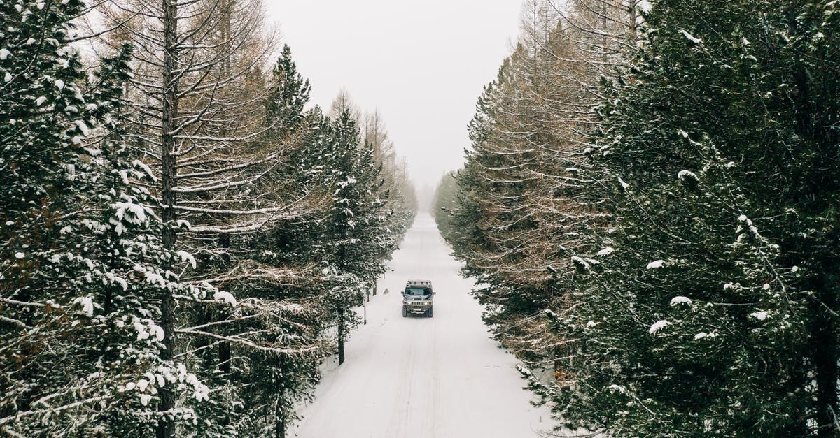 Is it possible to drive in the movie-famous LA canal? - Snow Covered Road Between Trees Is it possible to drive in the movie-famous LA canal? - Snow Covered Road Between Trees