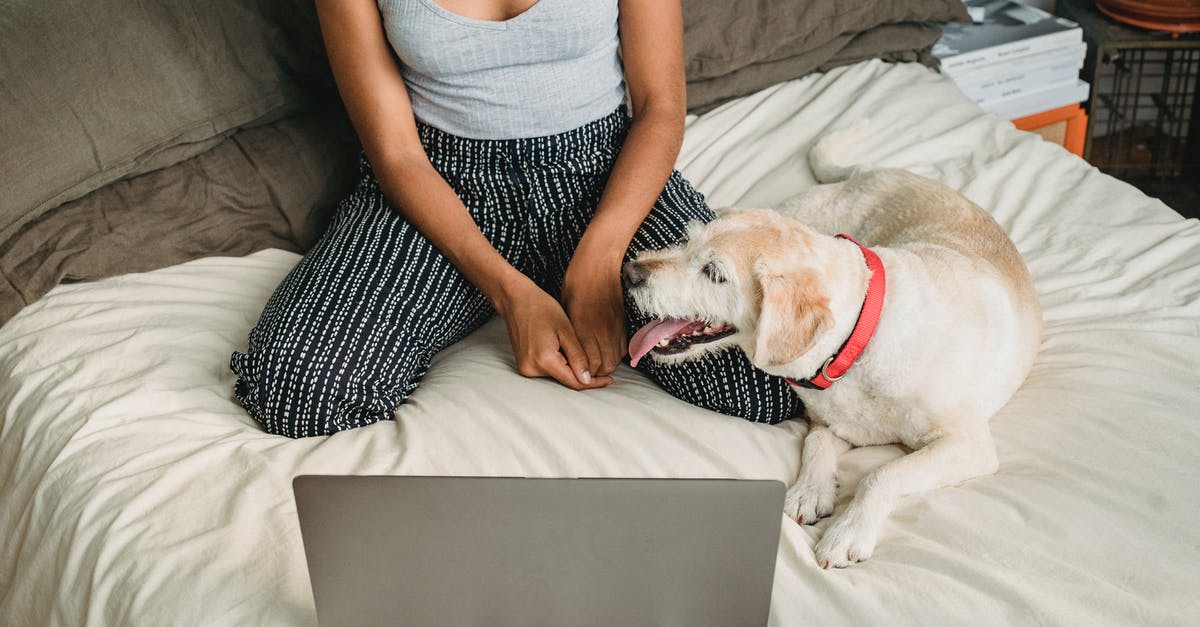 Is it possible to get out from the L.A airport during a connection? - Calm woman browsing netbook while resting with dog at home