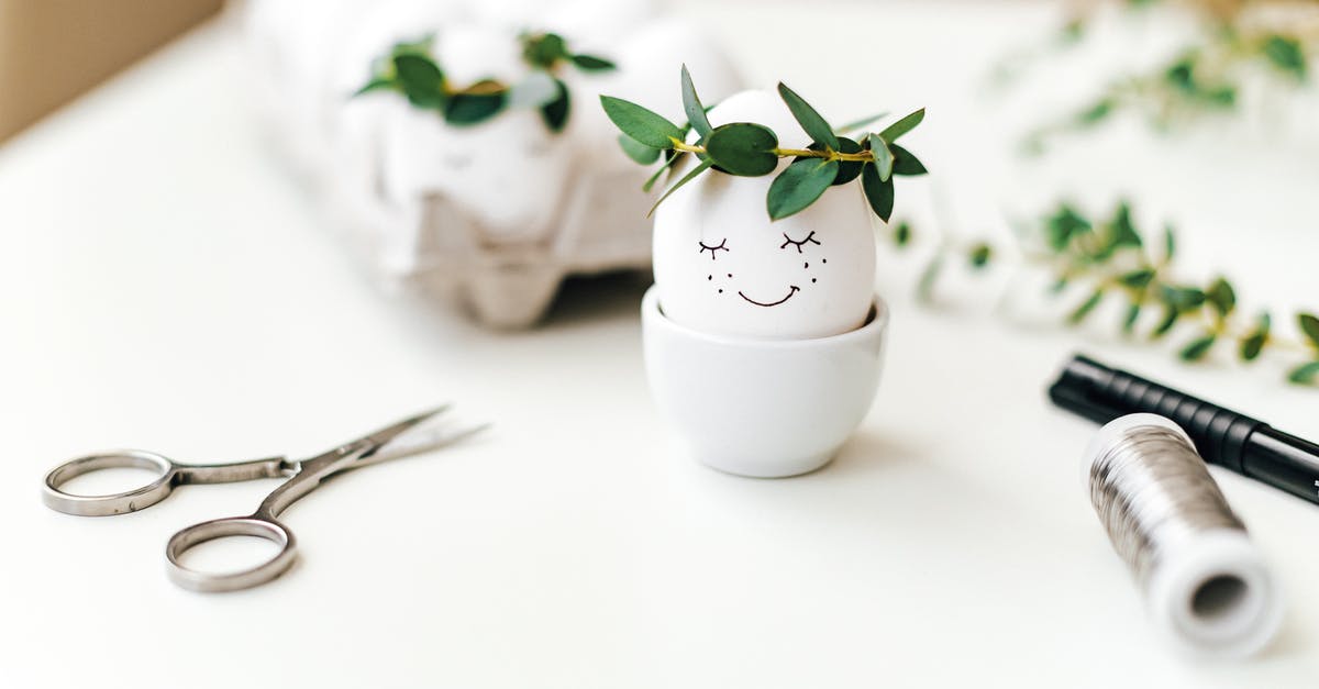 Is it possible to hold multiple working holiday visas across multiple Schengen countries at one time? [closed] - White Ceramic Pot With Painted Egg