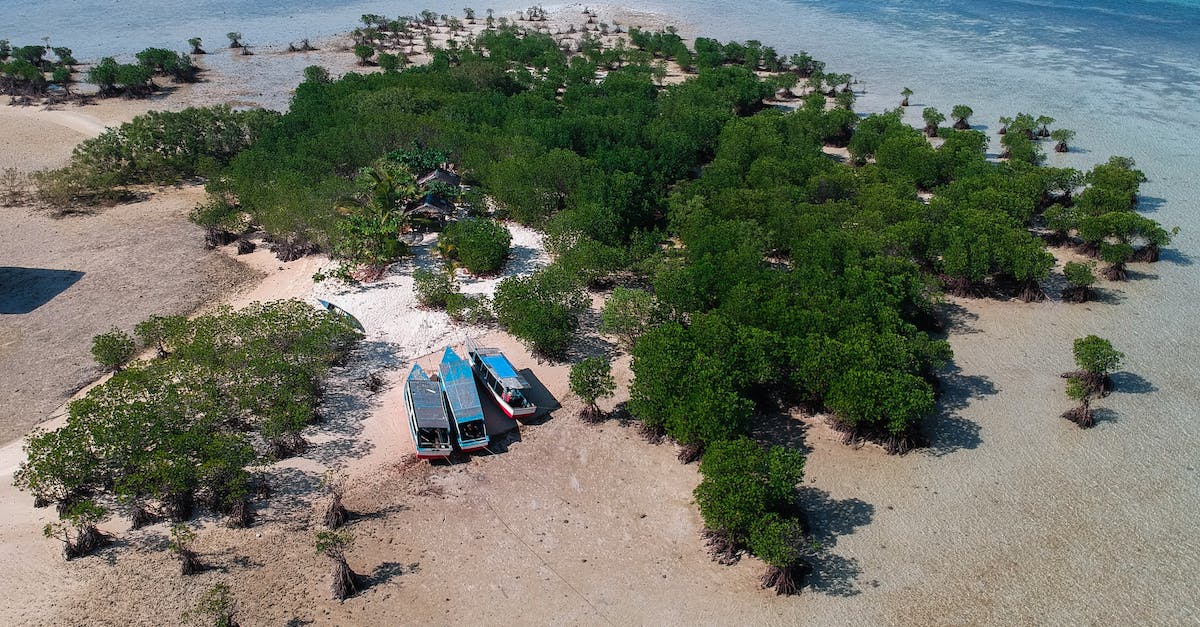 Is it possible to visit Old Goa from the beach resorts? - Old boat on desert island Is it possible to visit Old Goa from the beach resorts? - Old boat on desert island
