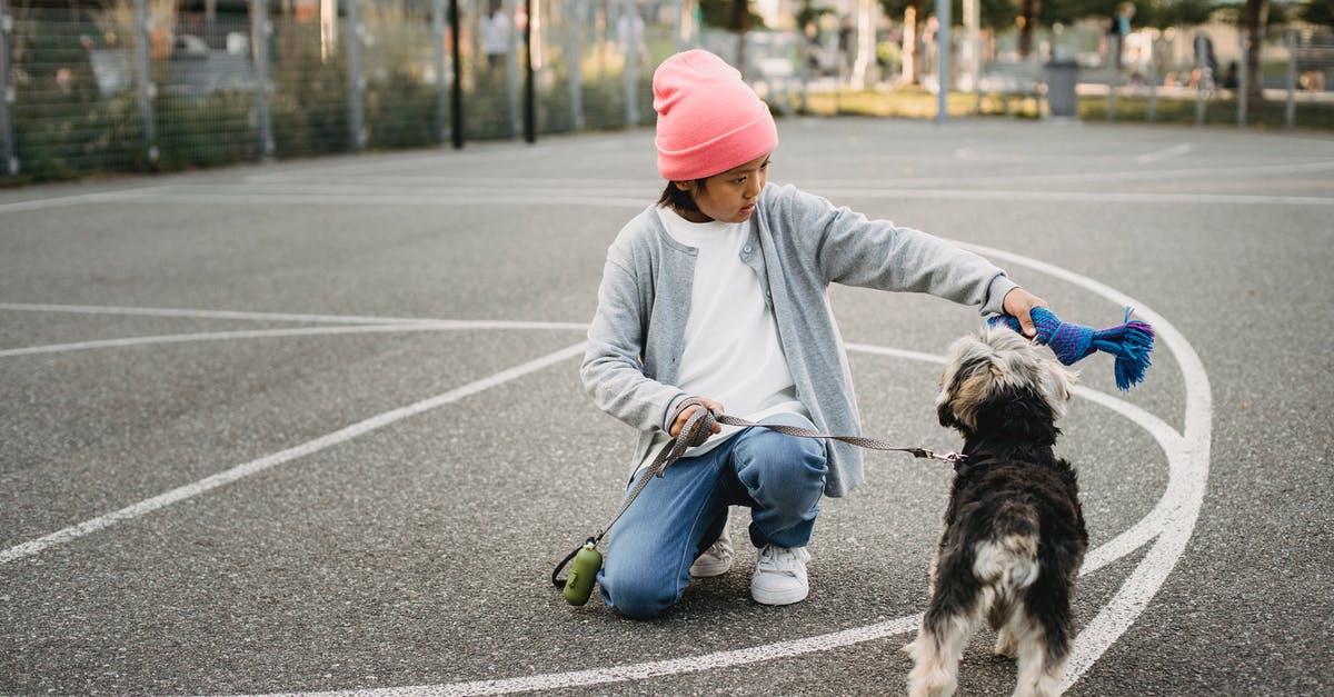 Is it required to show train ticket reservation during visa application to France [closed] - Ethnic kid showing command to intelligent dog while squatting on asphalt pavement in city
