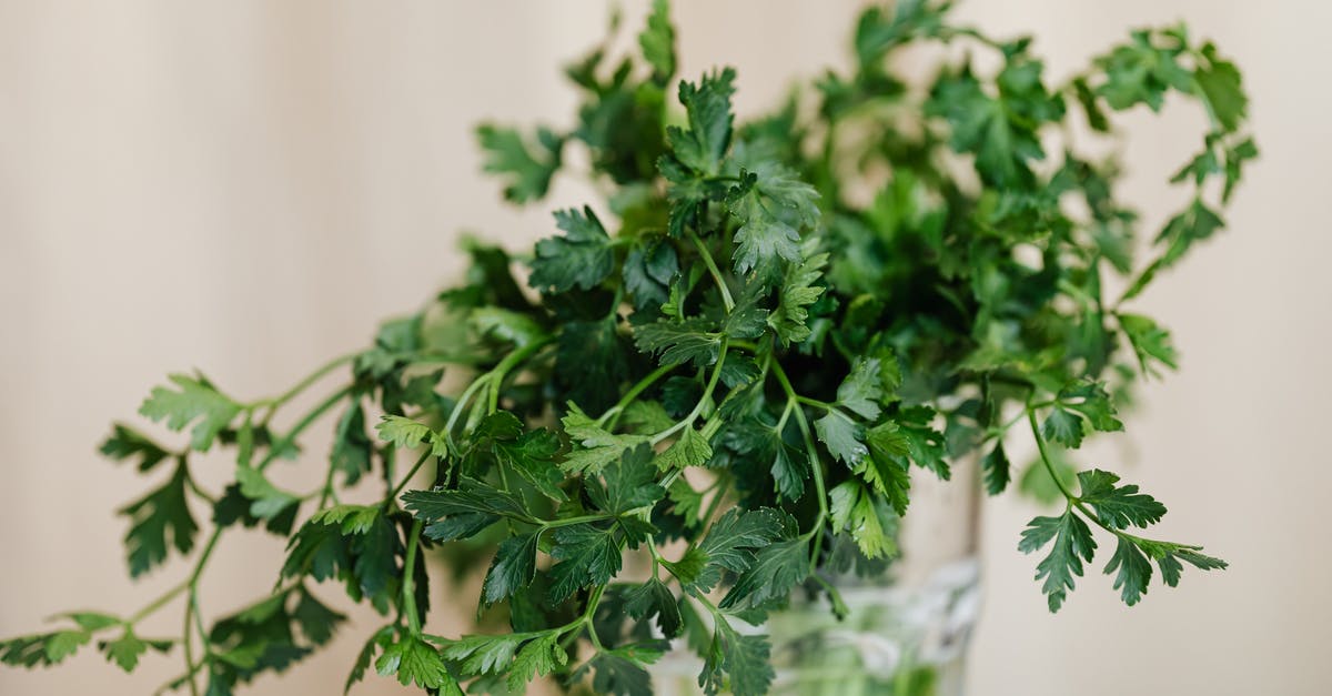 Is it still necessary to pre-request a vegetarian meal on intercontinental flights? [closed] - Bunch of bright green fresh parsley in decorative glass vase placed on white table