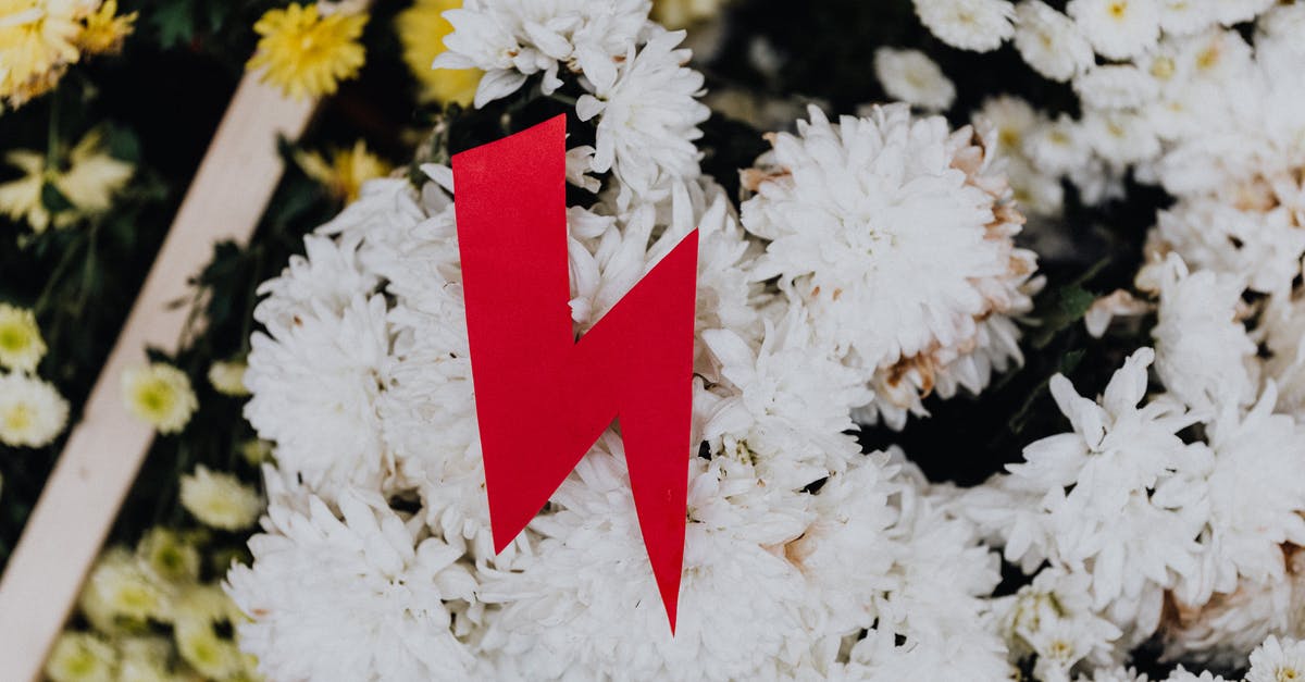Is it true there's a greater chance of being killed by lightning than of dying on a flight? - Red Lightning Symbol Against White Flowers Is it true there's a greater chance of being killed by lightning than of dying on a flight? - Red Lightning Symbol Against White Flowers