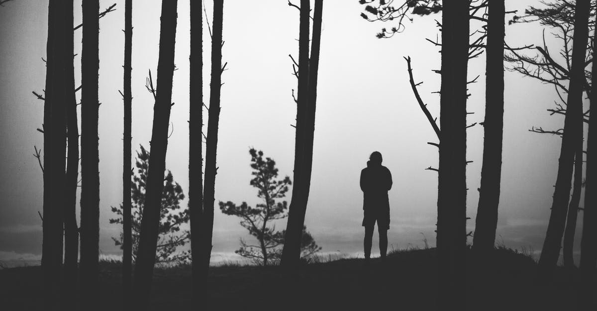 Is it windy and snowy in West Europe during end year? [closed] - Silhouette of Man Standing on the Ground Surrounded by Trees