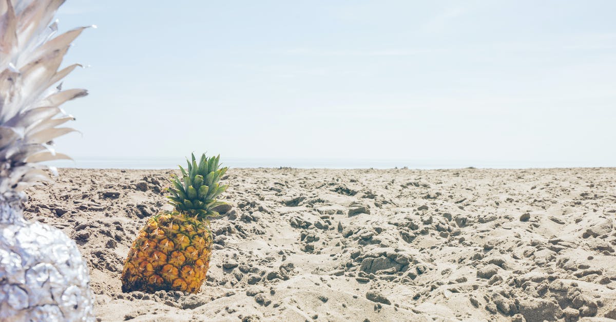 Is LifeStraw a silver bullet water purification solution for travelling in India? - Two White and Yellow Pineapples on Brown Dirt Is LifeStraw a silver bullet water purification solution for travelling in India? - Two White and Yellow Pineapples on Brown Dirt