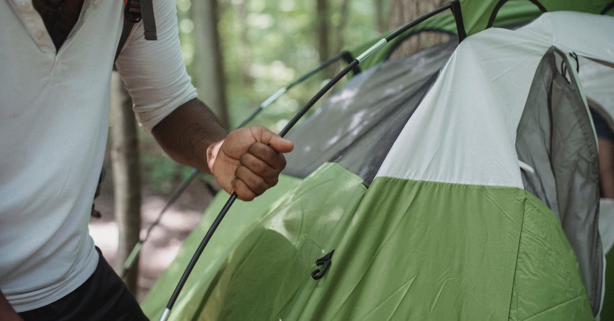 Is my American tourist visa active? - Crop unrecognizable African American male traveler in casual clothes setting up tent near tree in forest while preparing for camping Is my American tourist visa active? - Crop unrecognizable African American male traveler in casual clothes setting up tent near tree in forest while preparing for camping