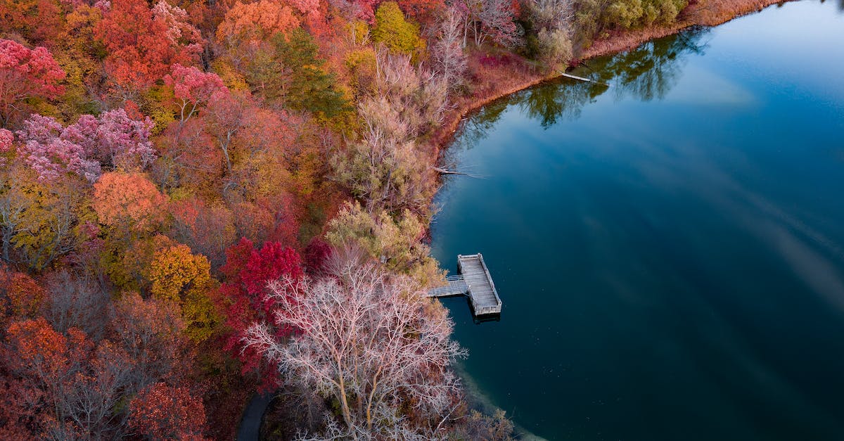Is my U.S. driver's license valid in Europe? - Bird's Eye View Of Lake During Daytime