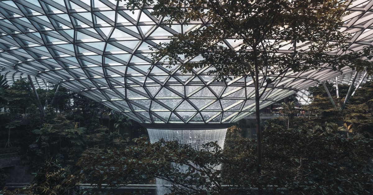 Is one hour layover sufficient at Singapore Changi Airport (Indian citizen travelling from US to India)? - The Famous Rain Vortex at Jewel Changi Airport