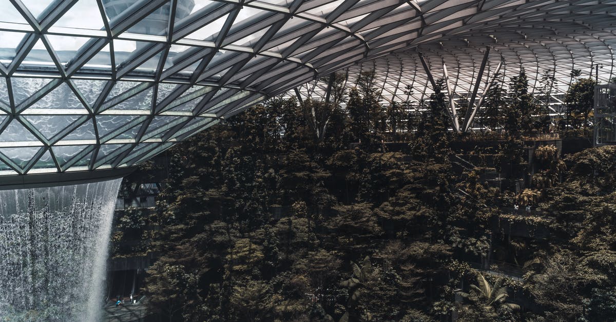 Is one hour layover sufficient at Singapore Changi Airport (Indian citizen travelling from US to India)? - The Famous Rain Vortex at Jewel Changi Airport