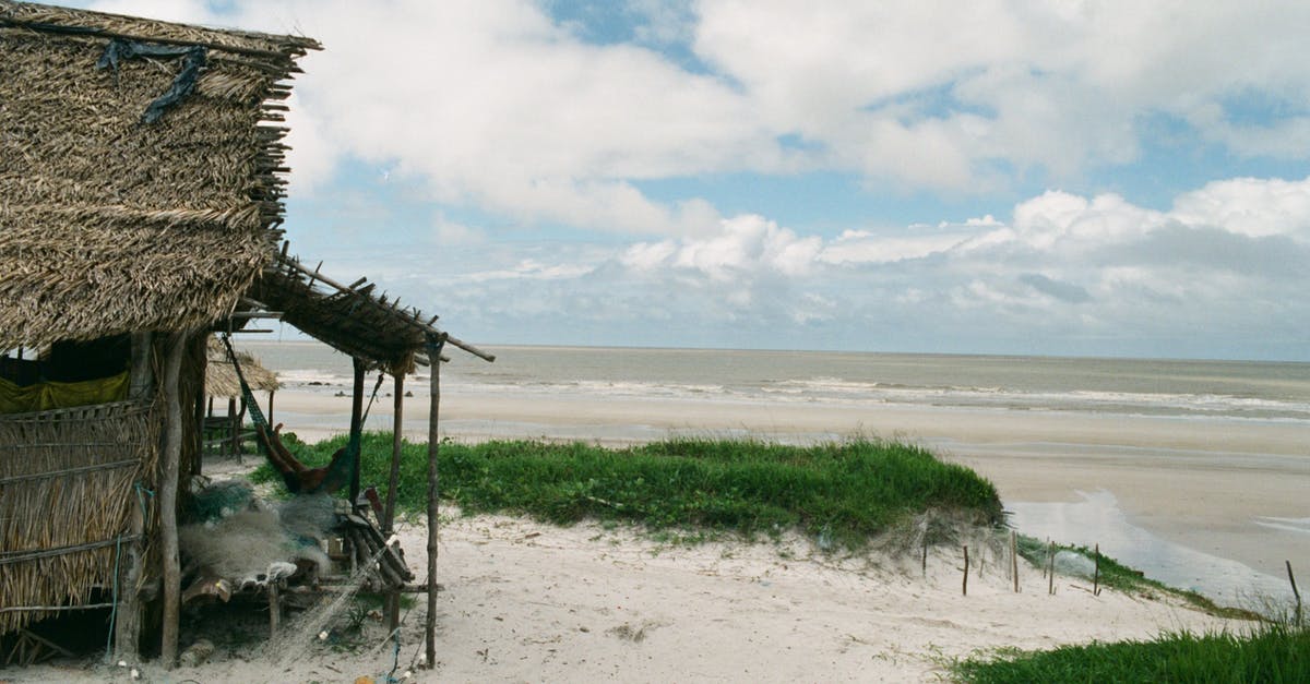Is "gutter oil" a problem in any other country besides China? - Poor indigenous cabin with thatched roof on sandy coastline with wavy ocean in cloudy day