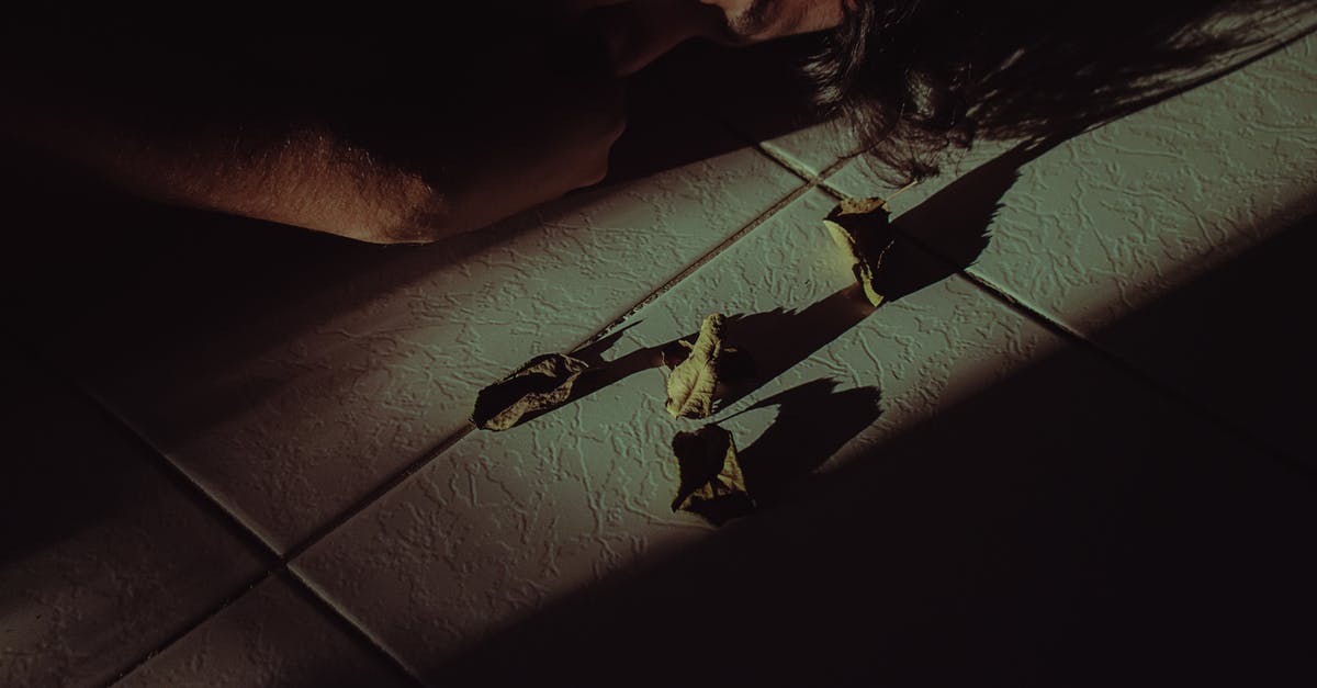 Is sleeping on the floor in planes allowed, and if not, why not? - Person Sleeping Beside Dead Leaves Is sleeping on the floor in planes allowed, and if not, why not? - Person Sleeping Beside Dead Leaves