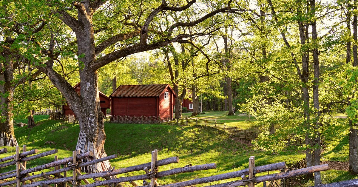 Is Sweden full of mosquitoes during the summer? - House Surrounded With Trees Is Sweden full of mosquitoes during the summer? - House Surrounded With Trees