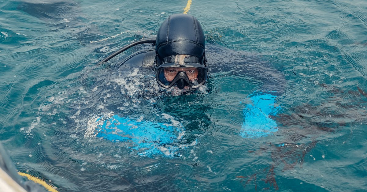 Is Sydney good for scuba diving? [closed] - A Man in the Ocean Wearing Wetsuit