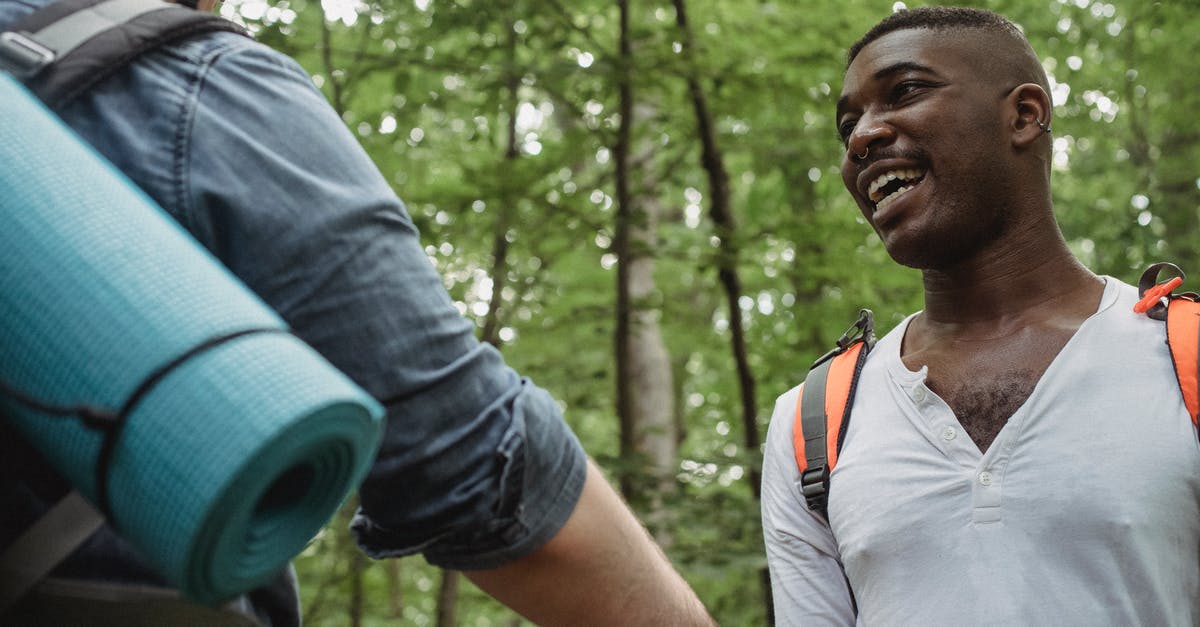 Is the 90 days visa-waiver for the entire trip or for each country? [duplicate] - Cheerful young black male in white shirt looking at anonymous friend in forest in daytime on blurred background