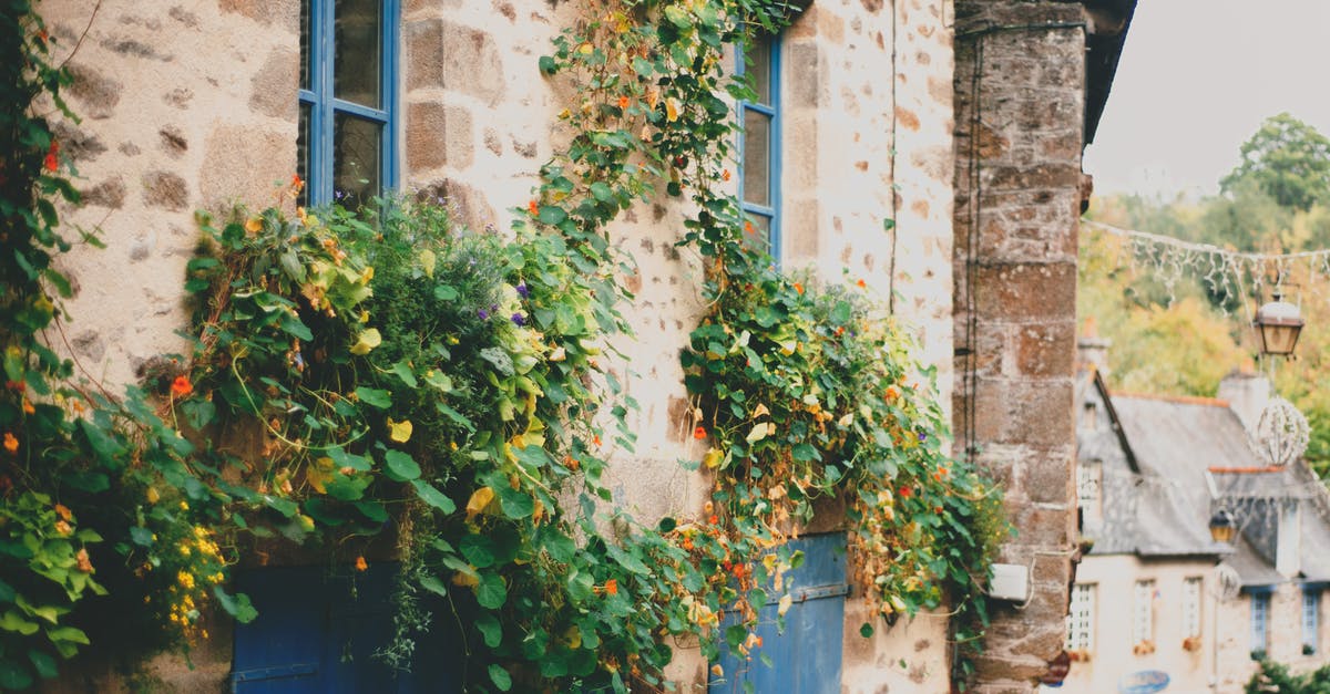 Is the EU settlement status the same as a resident card? - Exterior of rustic stone house with blue window frames and climbing plants on walls located in small village on summer day Is the EU settlement status the same as a resident card? - Exterior of rustic stone house with blue window frames and climbing plants on walls located in small village on summer day
