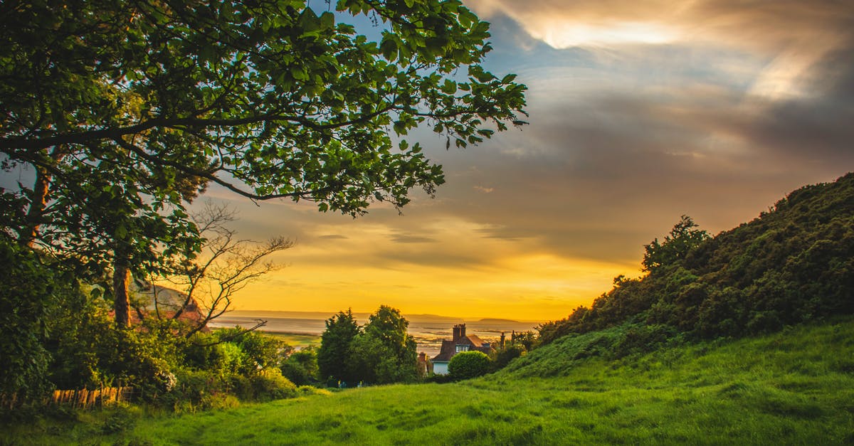Is the price of flights Anchorage (ANC) - Wales (WAA) always the same? - Green Trees Under Blue and Orange Sky during Sunset