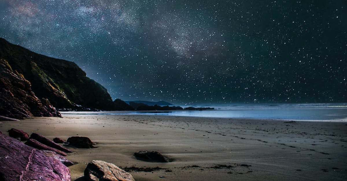 Is the Sea of Stars real? - Seashore during Nighttime Is the Sea of Stars real? - Seashore during Nighttime