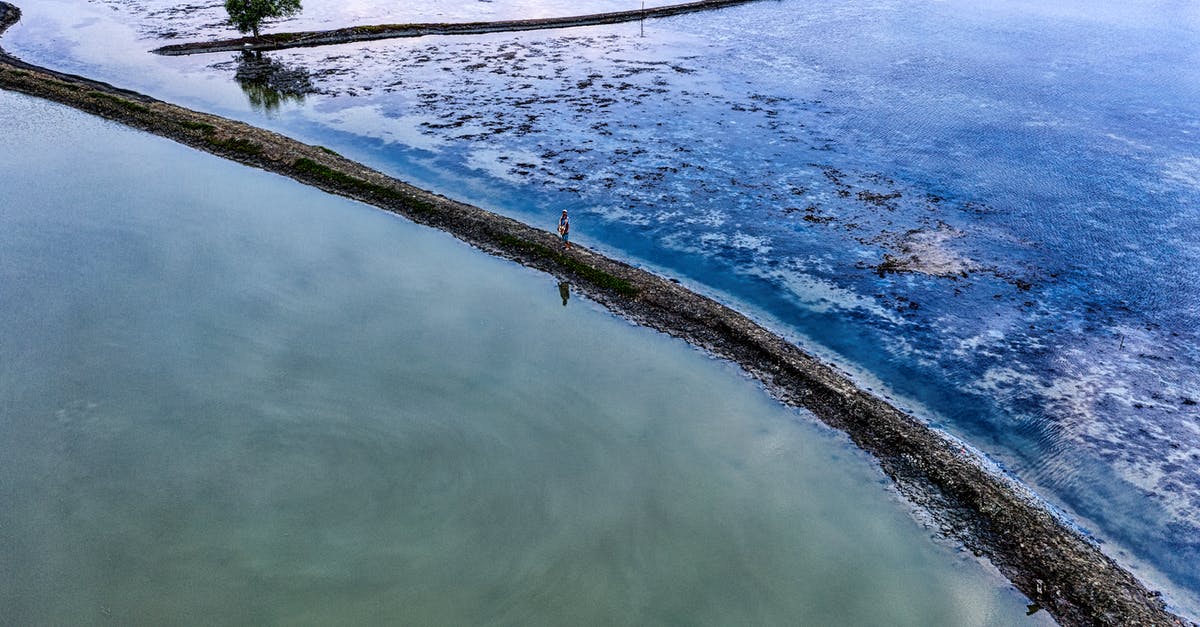 Is the Takayama line between Toyama and Takayama still closed? - Wet rice fields in countryside Is the Takayama line between Toyama and Takayama still closed? - Wet rice fields in countryside