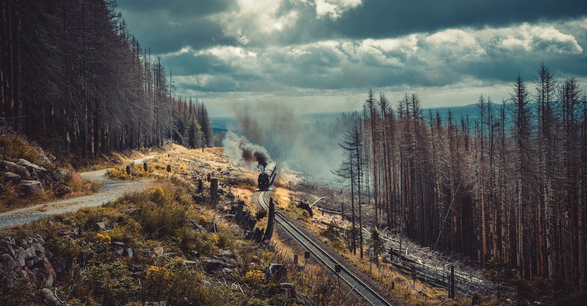 Is the train between Shanghai and Hangzhou smoke-free? - Green Trees Under White Sky Is the train between Shanghai and Hangzhou smoke-free? - Green Trees Under White Sky