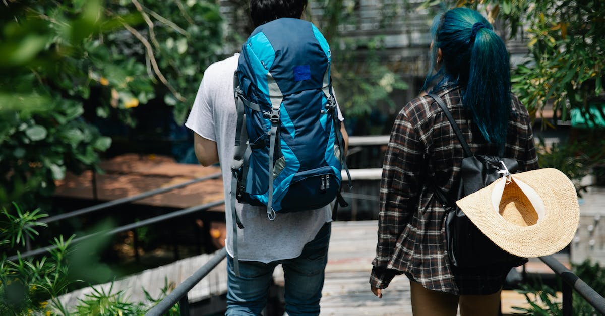 Is there a free walking tour in Honolulu? - Unrecognizable young couple walking on footbridge in green park Is there a free walking tour in Honolulu? - Unrecognizable young couple walking on footbridge in green park