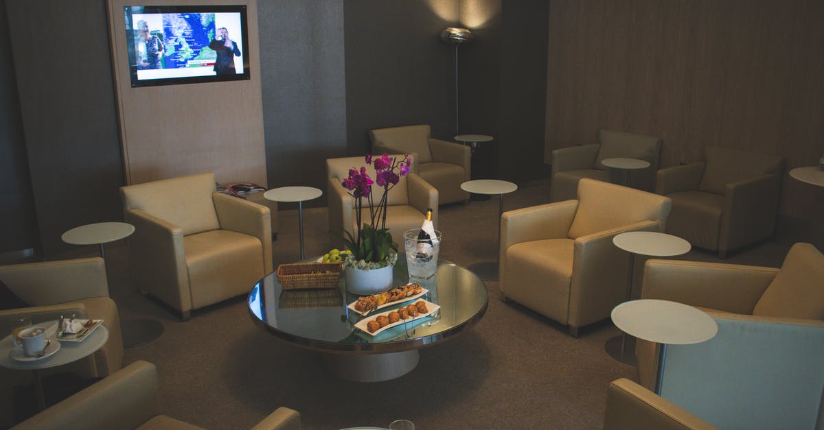 Is there a JFK airport hotel which allows cats? - White Sofa Chairs Near Tv Is there a JFK airport hotel which allows cats? - White Sofa Chairs Near Tv