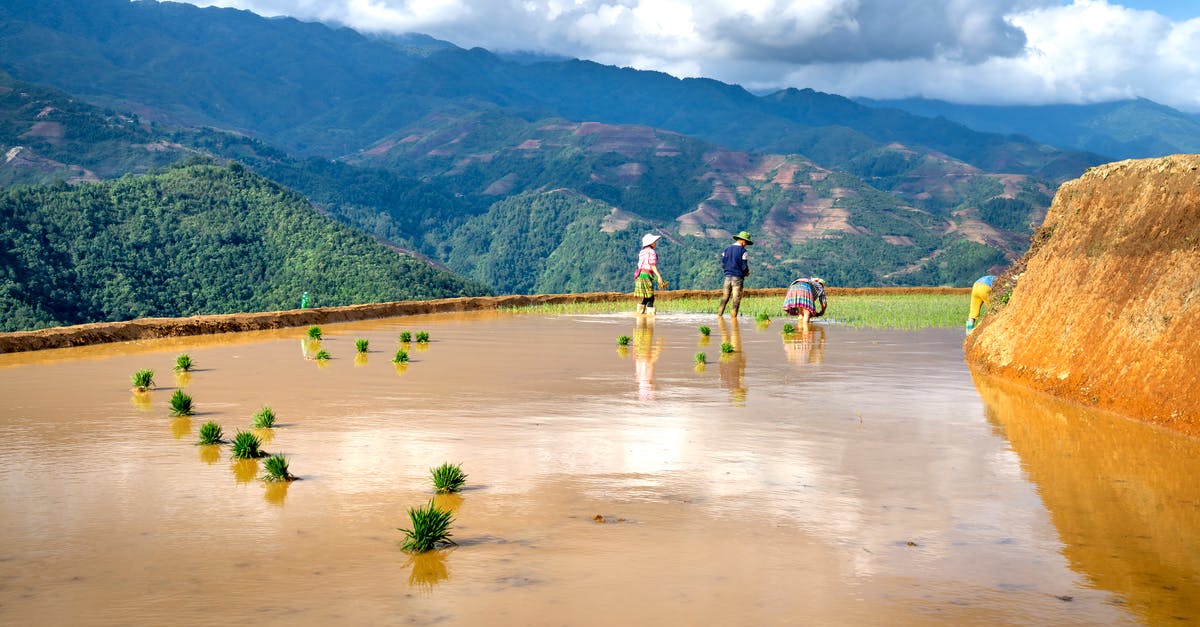 Is there a possibility to stay with a family in Himalayan or Karakoram mountainous regions? - Family Working in Rice Fields Is there a possibility to stay with a family in Himalayan or Karakoram mountainous regions? - Family Working in Rice Fields