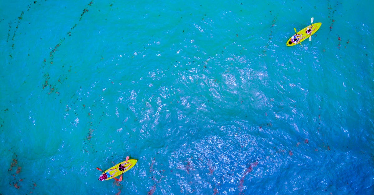 Is there a site that shows the current GPS position of active cruise ships? - Drone top view distant people in yellow kayaks floating on turquoise transparent seawater Is there a site that shows the current GPS position of active cruise ships? - Drone top view distant people in yellow kayaks floating on turquoise transparent seawater