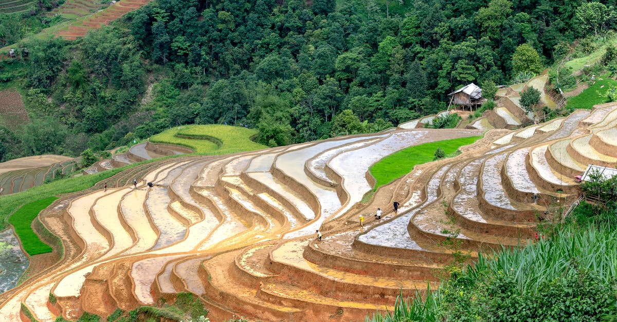 Is there a village in the mountains of central Asia that isn't very hot in August from where daytrips can be made without long drives? [closed] - Terraced rice fields ad lush green forests in countryside