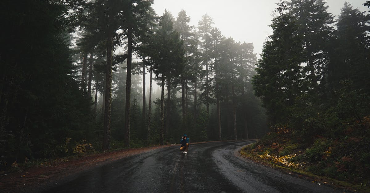Is there a way to download biometric picture? - Unrecognizable traveler taking photo of empty asphalt road going through coniferous forest on rainy day Is there a way to download biometric picture? - Unrecognizable traveler taking photo of empty asphalt road going through coniferous forest on rainy day