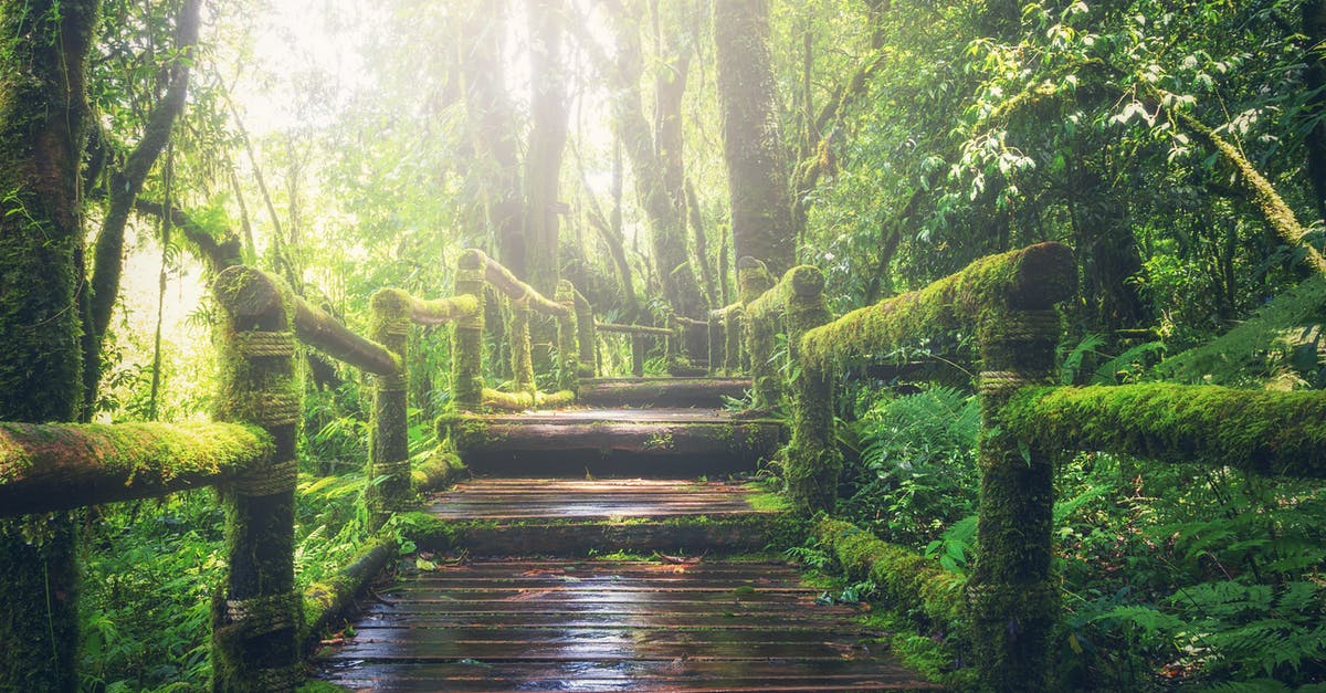 Is there a way to get a visa appointment faster? - Wooden Bridge on Rainforest Is there a way to get a visa appointment faster? - Wooden Bridge on Rainforest