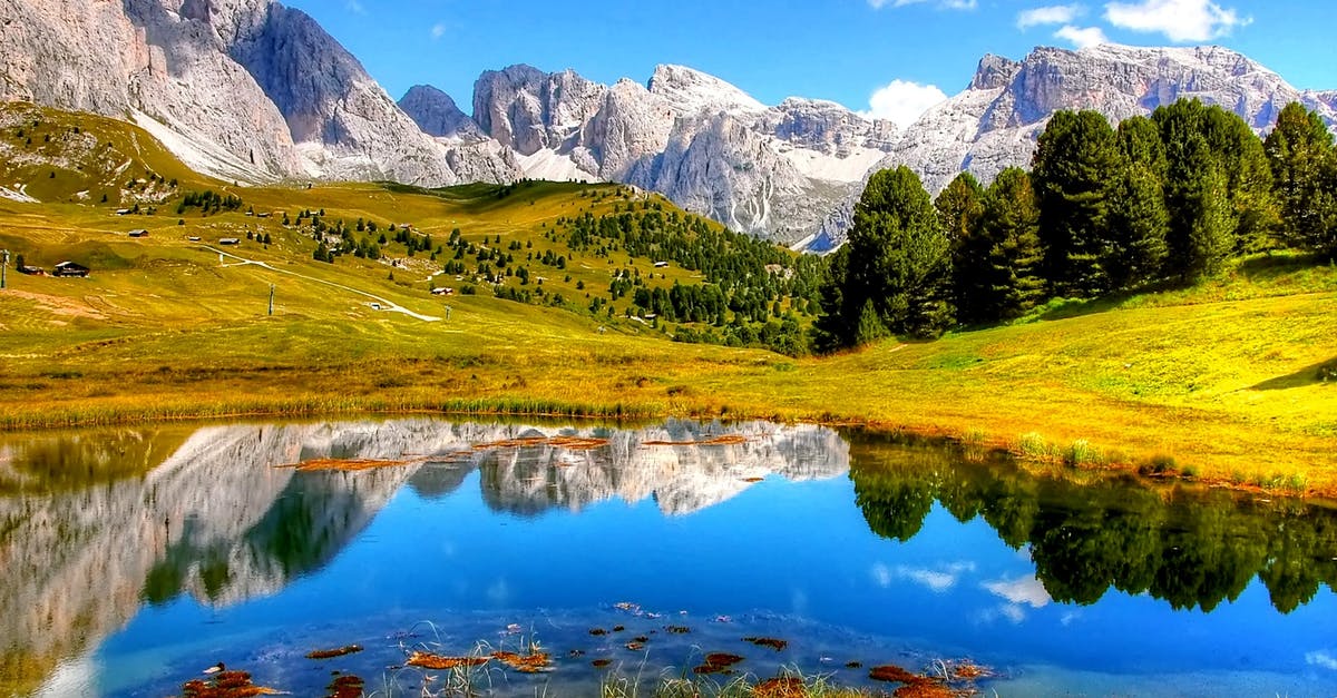 Is there a website for the Tatra mountains Polish shelters? - Trees Near Body of Water Is there a website for the Tatra mountains Polish shelters? - Trees Near Body of Water