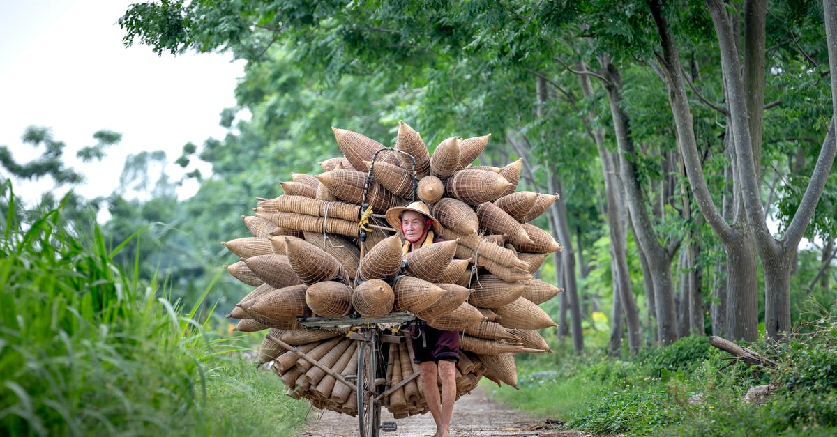 Is there an optimal season in which to visit the Bamboo Forest in Sagano? - Full body of aged ethnic male with many bamboo traditional fish traps on bicycle on path in green tropical forest Is there an optimal season in which to visit the Bamboo Forest in Sagano? - Full body of aged ethnic male with many bamboo traditional fish traps on bicycle on path in green tropical forest