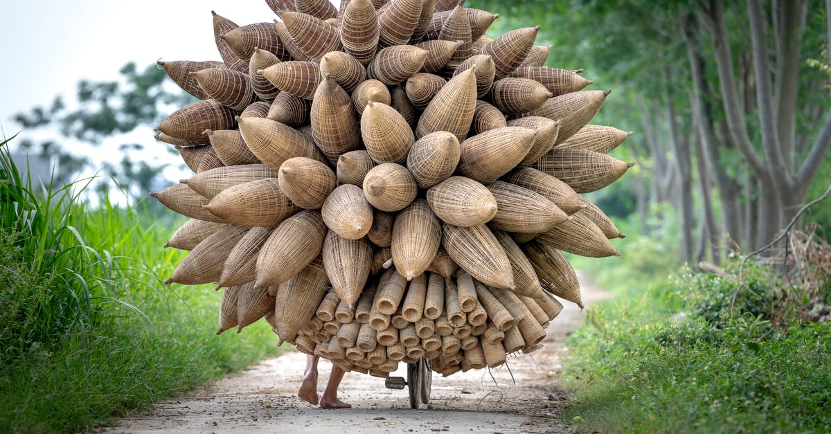 Is there an optimal season in which to visit the Bamboo Forest in Sagano? - Local person with bamboo fish traps Is there an optimal season in which to visit the Bamboo Forest in Sagano? - Local person with bamboo fish traps