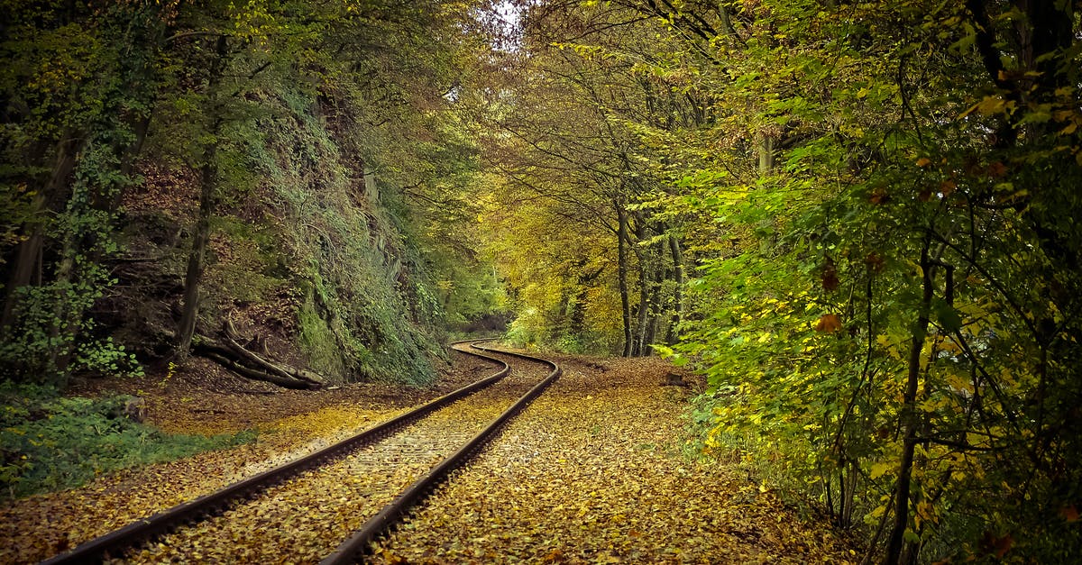Is there any app to track the road traveled? - Road Rail Between Trees