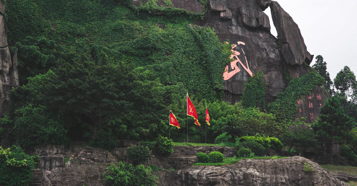 Is there any downside in purchasing high-speed train tickets in China via the official website, instead of third-party agencies? - Mountain range with plants and national flags in summer Is there any downside in purchasing high-speed train tickets in China via the official website, instead of third-party agencies? - Mountain range with plants and national flags in summer