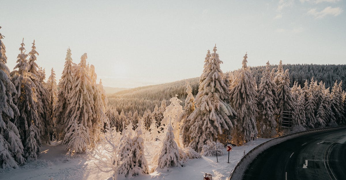 Is there any highway, road or something else that covers the Grand Tour? - Snow Covered Trees at the Side of a Road