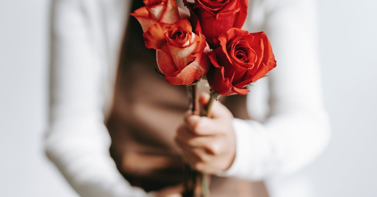 Is there any service to make budget bookings on Internet? - Woman with branches of roses in hands Is there any service to make budget bookings on Internet? - Woman with branches of roses in hands