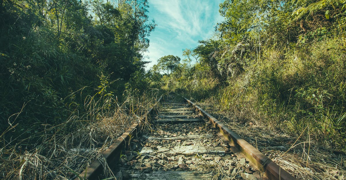 Is there any specific conditions when booking sleeper trains in Italy - Train Railway Surrounded With Trees Is there any specific conditions when booking sleeper trains in Italy - Train Railway Surrounded With Trees