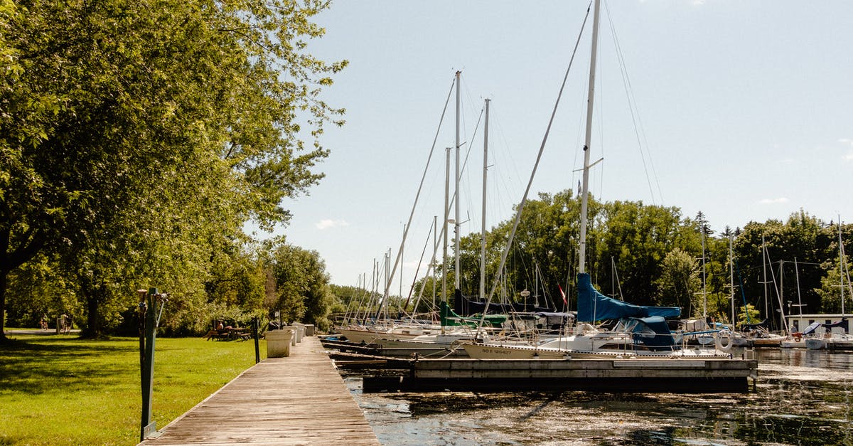 Is there any way to sail the Danube on a budget? [closed] - Empty wooden walkway near river pier with sailboats and green grassy park with lush trees