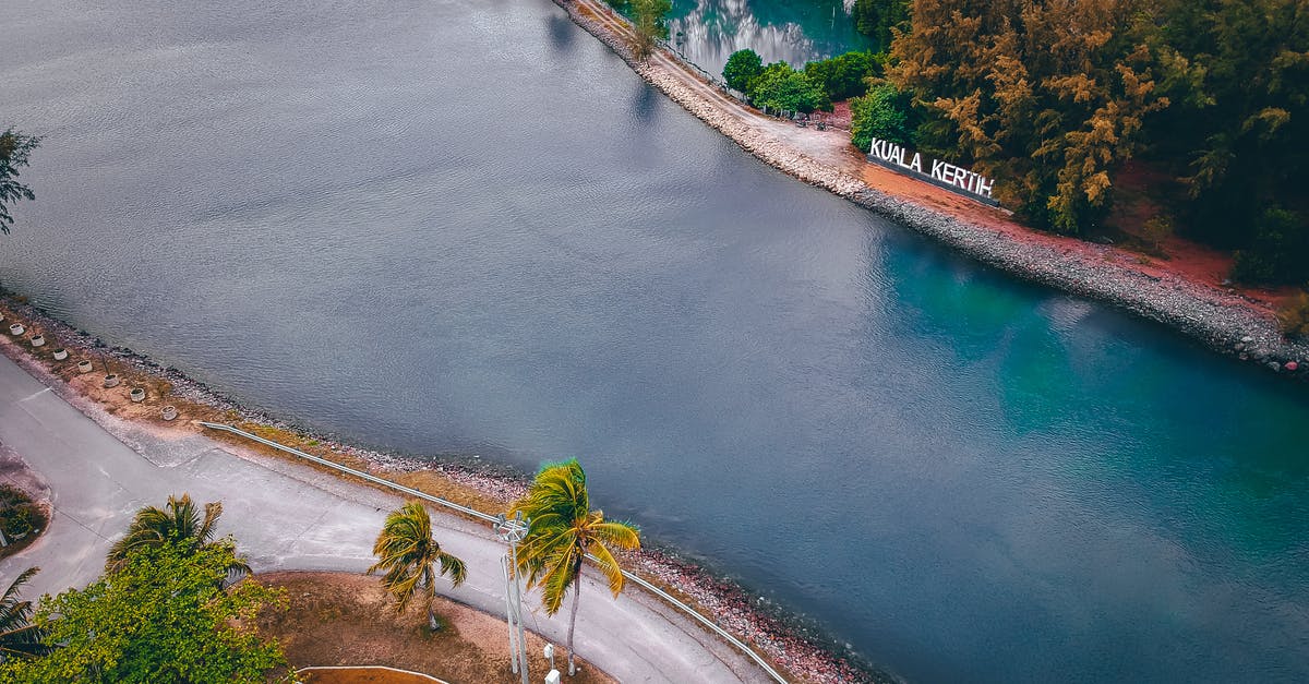 Is there any way to travel from Cameroon to Kinshasa by land? - Aerial view of wide river flowing near narrow asphalt road and lush green trees Is there any way to travel from Cameroon to Kinshasa by land? - Aerial view of wide river flowing near narrow asphalt road and lush green trees